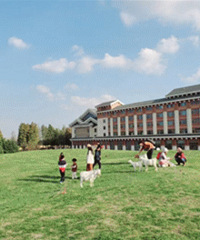 64����Ȫԡ�½���ſ ���Ϲ���/�ֵ�һ���ѵ���