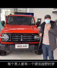 ����˵�������ܺ���Ӳ��ԽҰ������WEY̹��300