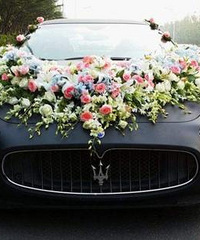 ����Ҫ�鳵����ɯ���٣������ѷ�Ҫ�ñ��� ƾɶ���Դ���