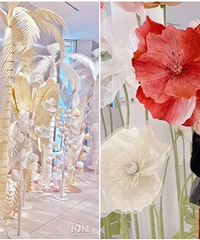 ��ѵ�����չ��ȫ�����ǡ�ֽ������