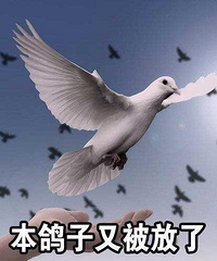 �����챻����Ÿ��� �绰��ͨ ����Ȼ˵˯����