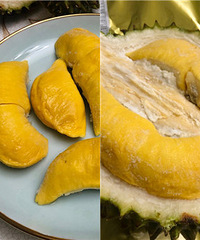 èɽ��325Ԫһ�� �������