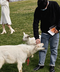 ������ιС�򡭽�ǰ���һ�����׻� �е��ر�