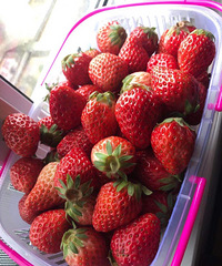 ��ɹ��TA�ҵ�������ҳ��������