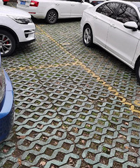 ����꼱���ˣ��ع���Щ���� ������ͣ����ʧ�٣�