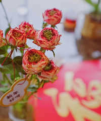 “新年装扮”+繁花似锦觅安宁