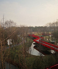 90��С���Ҷ��� ���̲��Ʋ��豦