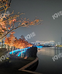 ��ȥ�����˸�����+����תת�����հѼҰ������