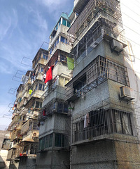 ����Ϊ���������ա���Žֵ������»���