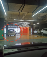 ���ͣ�����������У�����Ī����