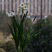 �������Ҫ��ˮ�ɻ�