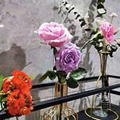 ס�ڼ��ﻹ��Ҫ���ʻ�