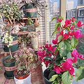 ��ûװ�޾���������