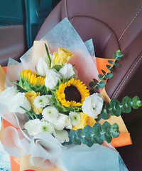 Ը�������й�â ���������ʻ������տ���