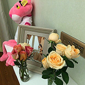 ϲ�����������ķ���