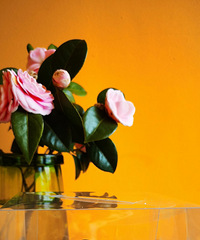 Ů����������һ��ԳԳ� �Լ�������һ������