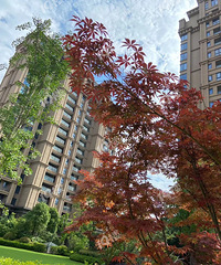 ����3��Ŀ�԰Խ��Խ���ˣ��̻������ޣ�