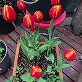 ��������ô��������