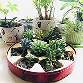 ���ﴰ̨���ǻ���