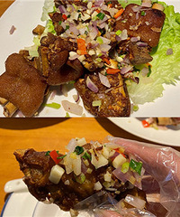 �Բ����������