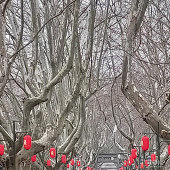 ��ʯɽ����ϵ��