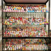 ��ä�л��������