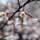 �����������������