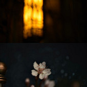 ��羰����������