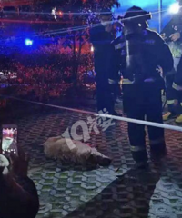 ����ĳС����ҹ���飡�������Ƕ���