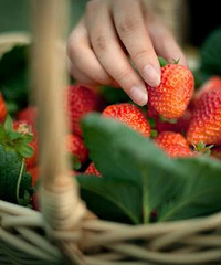 ܵ19¥¥ǣڼ˸ժݮĵط