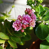 ���쵽�˼��г��ٻ�������