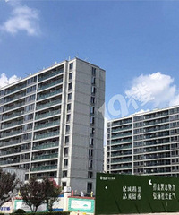 �̳�����԰ϸ�ھ����ɰܣ���С·���Ǵ��ֽ��