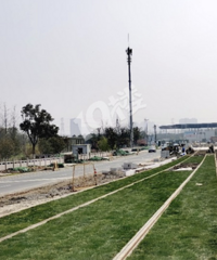 �����й�糵����ʱ�����̲�ƺ��