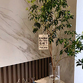 ����ͻȻ����һ������