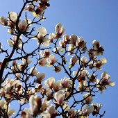 �������������