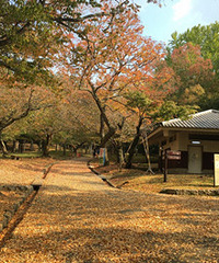 ��3��ȥ̤�ࡿ26��MM�Ҷ��� ��Ե�Ļ�һ��ȥ������