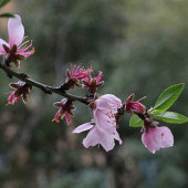 ������һ����ÿ�