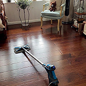 ǿ������ֳ���������