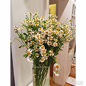 �о���ʾ�Ҳ�ʺϵ���װ