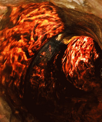 �½��������ޱ��� ��ת�š���������������...