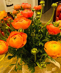 ��ĵ���������ʻ� ��ô����ô��