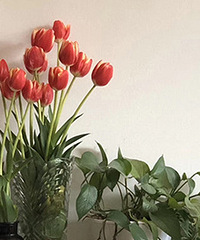 ϲ���������� ���ڼ�����ĺÿ�