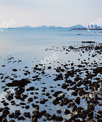 ¥��������ôһ�� �Ҹо���������Ψһ���õ��Ǻ���