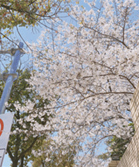 ���쵽�� �Ҹ���һ�𿴷Ĺ�·��ӣ��ѽ