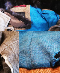 �����õ�ϴ�»�Ҳû�� ���޷���ϴ����