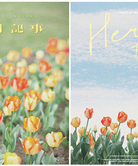 ������̤������ֲ��԰�������԰��������̫����