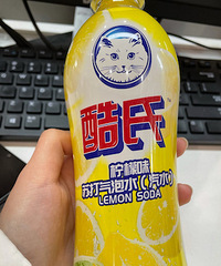 ���ҵĹ�����������ܺȵ�ϴ�ྫ������������