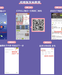 ɹ����ɫԪ�ط��� ����5Ԫ�������������ȯ ���ź��