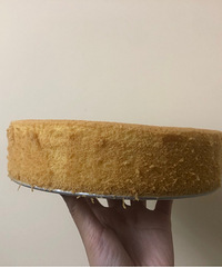 闺女过生日 这期刚好选择了森系主题 自己布置的
