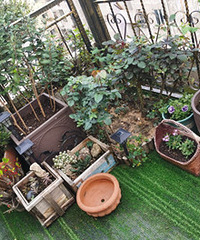 æ��һ���¾͵Ȼ��� ��԰��ȱ��Ů����